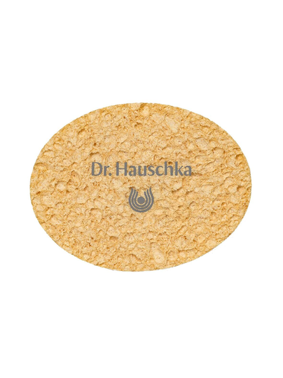 Puhdistussieni